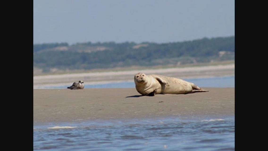 Gite L'Etoile De Mer Eu (Seine-Maritime) Ngoại thất bức ảnh